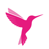 Profile picture of Online Birds
